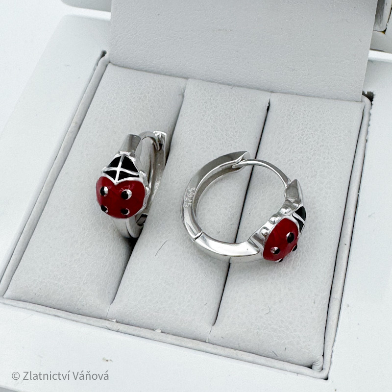 Stříbrné náušnice kroužky s BERUŠKAMI